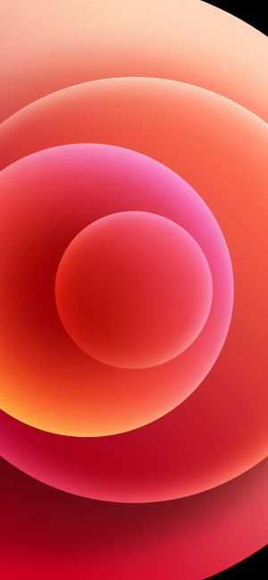 Wallpaper
